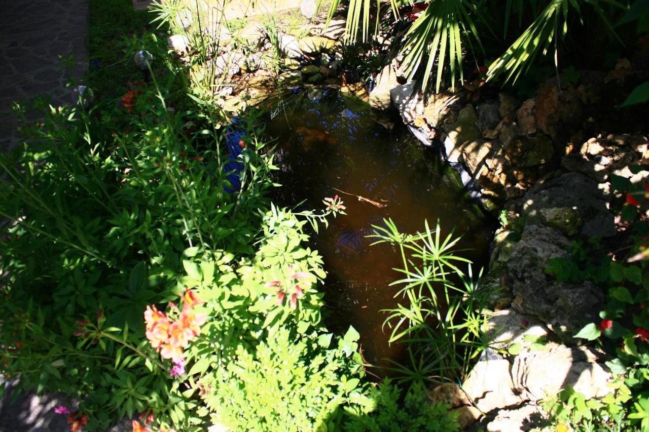 Bed and Breakfast Garden Fuorirotta San Giovanni Teatino Exterior foto